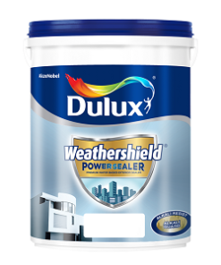 Dulux Wethershield powersealer – Z060